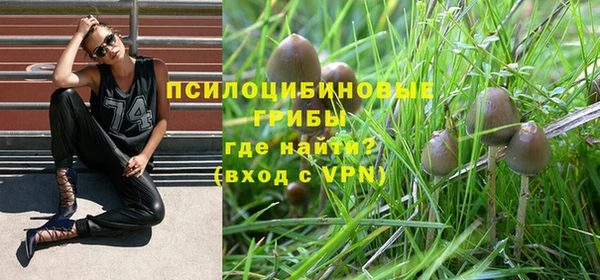 ПСИЛОЦИБИНОВЫЕ ГРИБЫ Майский