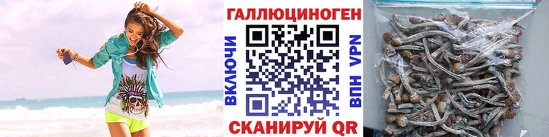 Галлюциногенные грибы Magic Shrooms  hydra сайт  Аткарск  наркотики 